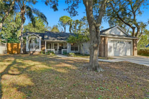 807 EDGEHILL DRIVE, PALM HARBOR, FL 34684 - MLS#MFRTB8446799