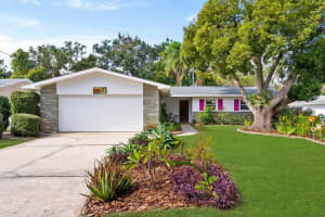 1700 Patricia Ave, DUNEDIN 1700 Patricia Ave, DUNEDIN