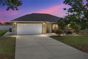 10136 DUSTY HILL LOOP, DADE CITY, FL 33525 - MLS#MFRTB8446810