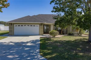 10136 DUSTY HILL LOOP, DADE CITY, FL 33525 - MLS#MFRTB8446810