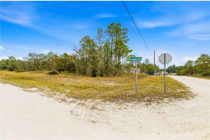 0 TINAMOU AVENUE, WEEKI WACHEE, FL 34613 - MLS#MFRTB8446826