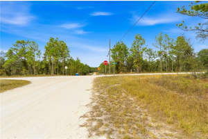 0 TINAMOU AVENUE, WEEKI WACHEE, FL 34613 - MLS#MFRTB8446826