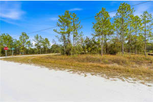 0 TINAMOU AVENUE, WEEKI WACHEE, FL 34613 - MLS#MFRTB8446826