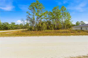 0 TINAMOU AVENUE, WEEKI WACHEE, FL 34613 - MLS#MFRTB8446826