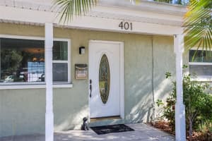 401 DAVISON AVENUE, ST PETERSBURG, FL 33703 - MLS#MFRTB8446827