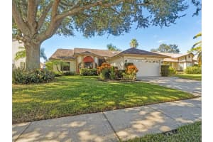 1714 PALOMINO DRIVE, TARPON SPRINGS, FL 34689 - MLS#MFRTB8446837
