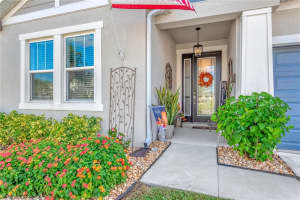 7213 TALAMORE DRIVE, WESLEY CHAPEL, FL 33545 - MLS#MFRTB8446844