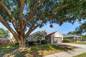 24407 ROLLING VIEW COURT, LUTZ, FL 33559 - MLS#MFRTB8446863
