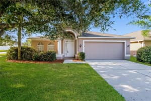 17326 POPPY FIELDS LANE, LAND O LAKES, FL 34638 - MLS#MFRTB8446876