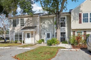 16173 RAMBLING VINE DRIVE, TAMPA, FL 33624 - MLS#MFRTB8446894