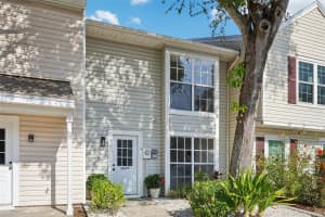 16173 RAMBLING VINE DRIVE, TAMPA, FL 33624 - MLS#MFRTB8446894