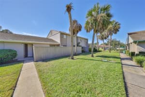 8616 PALM LANE, TEMPLE TERRACE, FL 33637 - MLS#MFRTB8446896