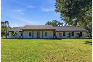 2506 HAWK GRIFFIN ROAD, PLANT CITY, FL 33565 - MLS#MFRTB8446950