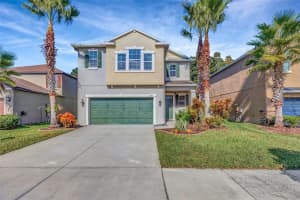 1595 Ludington Ave, WESLEY CHAPEL