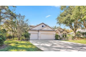 10218 SHADOW BRANCH DRIVE, TAMPA, FL 33647 - MLS#MFRTB8446971