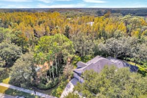 10218 SHADOW BRANCH DRIVE, TAMPA, FL 33647 - MLS#MFRTB8446971