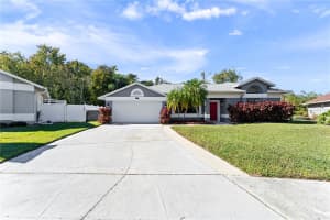 11406 PALM PASTURE DRIVE, TAMPA, FL 33635 - MLS#MFRTB8446979