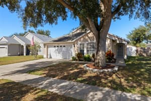 24449 MISTWOOD COURT, LUTZ, FL 33559 - MLS#MFRTB8447003