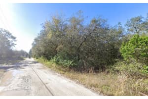 ATLEE, NEW PORT RICHEY, FL 34654 - MLS#MFRTB8447009