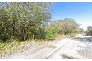 ATLEE, NEW PORT RICHEY, FL 34654 - MLS#MFRTB8447009