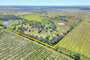 46891 FARABEE ROAD, PUNTA GORDA, FL 33982 - MLS#MFRTB8447031