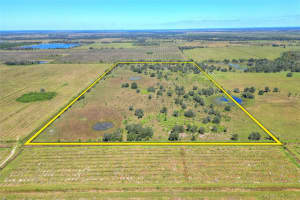 46891 FARABEE ROAD, PUNTA GORDA, FL 33982 - MLS#MFRTB8447031
