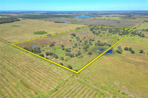 46891 FARABEE ROAD, PUNTA GORDA, FL 33982 - MLS#MFRTB8447031