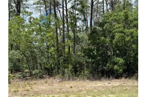 8959 FARRINGTON DRIVE, CITRUS SPRINGS, FL 34433 Sold 12/31/25