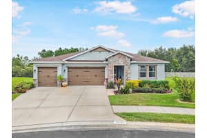 31737 Fairhill Dr, WESLEY CHAPEL 31737 Fairhill Dr, WESLEY CHAPEL