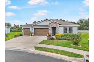 31737 FAIRHILL DRIVE, WESLEY CHAPEL, FL 33543 - MLS#MFRTB8447093