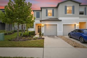 9643 Mulberry Marsh Ln, SUN CITY CENTER