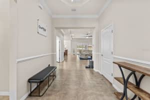 10405 HAMPTON MEADOW WAY, RIVERVIEW, FL 33578 - MLS#MFRTB8447101