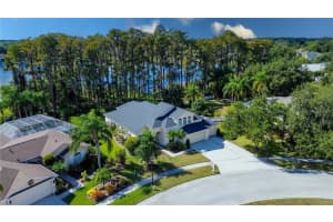 13815 CHANDRON DRIVE, ODESSA, FL 33556 - MLS#MFRTB8447114