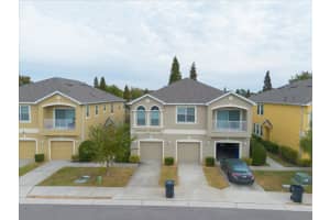 9117 Moonlit Meadows Loop, RIVERVIEW 9117 Moonlit Meadows Loop, RIVERVIEW