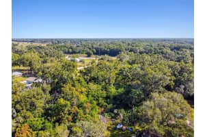 8408 RICHLAND SCHOOL ROAD, ZEPHYRHILLS, FL 33540 - MLS#MFRTB8447159