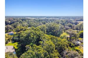 8408 RICHLAND SCHOOL ROAD, ZEPHYRHILLS, FL 33540 - MLS#MFRTB8447159