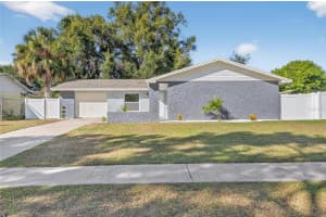 1115 PARK STREET, SEFFNER, FL 33584 - MLS#MFRTB8447162