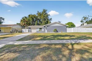 1115 PARK STREET, SEFFNER, FL 33584 - MLS#MFRTB8447162