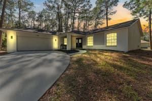 27944 Green Willow Run, WESLEY CHAPEL 27944 Green Willow Run, WESLEY CHAPEL