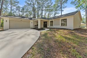 27944 GREEN WILLOW RUN, WESLEY CHAPEL, FL 33544 - MLS#MFRTB8447171