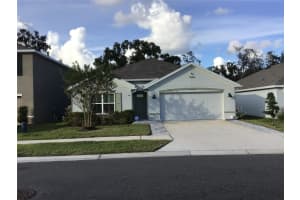 7729 ROSEWOOD GARDEN LOOP, TAMPA, FL 33637 - MLS#MFRTB8447187