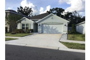 7729 ROSEWOOD GARDEN LOOP, TAMPA, FL 33637 - MLS#MFRTB8447187