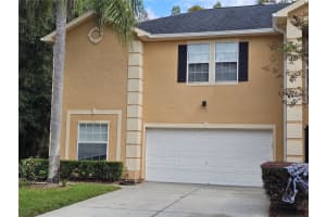 16309 Fairford Palms Ct, TAMPA