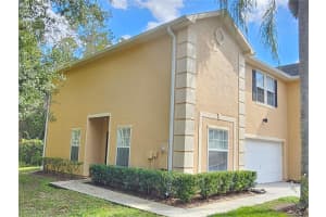 16309 FAIRFORD PALMS COURT, TAMPA, FL 33647 - MLS#MFRTB8447203