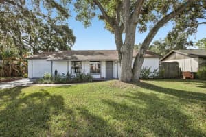 2767 Dovewood St, CLEARWATER 2767 Dovewood St, CLEARWATER