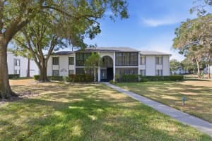 1243 PINE RIDGE CIRCLE, TARPON SPRINGS, FL 34688 - MLS#MFRTB8447276