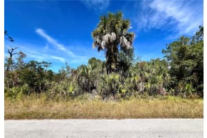LOT 8 DETROIT AVE, HUDSON, FL 34667 - MLS#MFRTB8447279