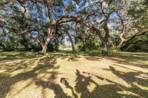 37440 PHELPS ROAD, ZEPHYRHILLS, FL 33541 - MLS#MFRTB8447287