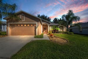 18933 GRAND CLUB DRIVE, HUDSON, FL 34667 - MLS#MFRTB8447299