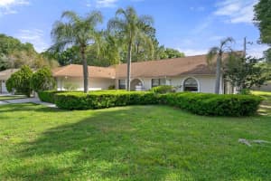 16125 ANCROFT COURT, TAMPA, FL 33647 - MLS#MFRTB8447325